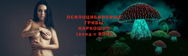 а пвп мука Алексин