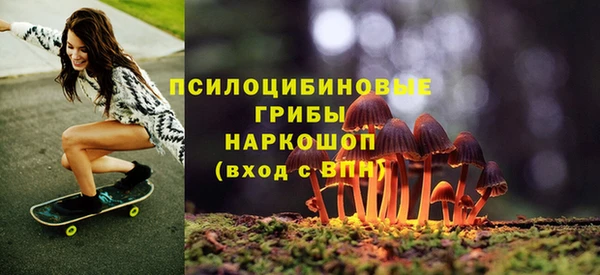круглые Алзамай