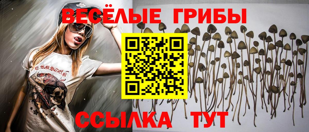 Псилоцибиновые грибы мухоморы Клин